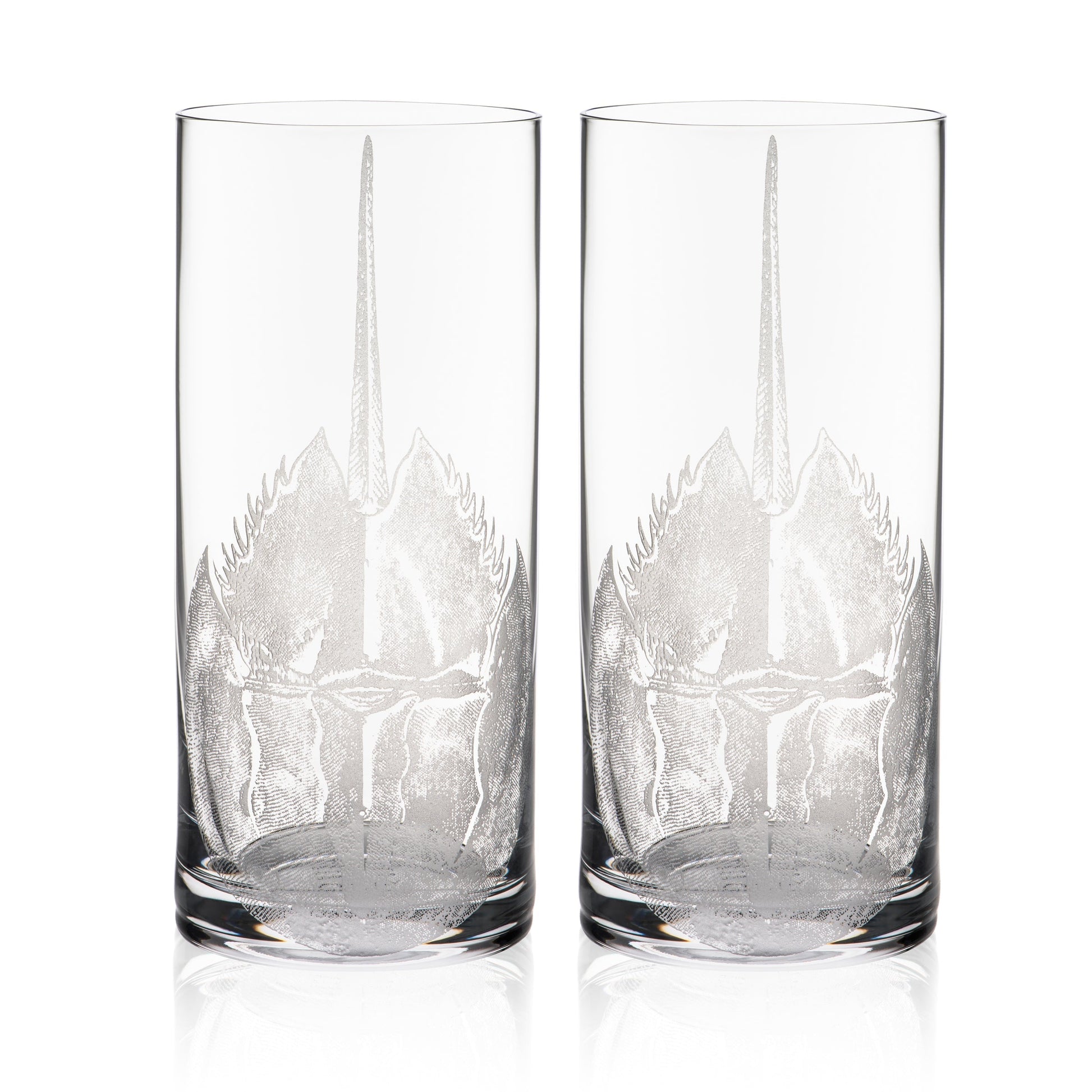 Horseshoe Crab Highball Glasses, Set of 2