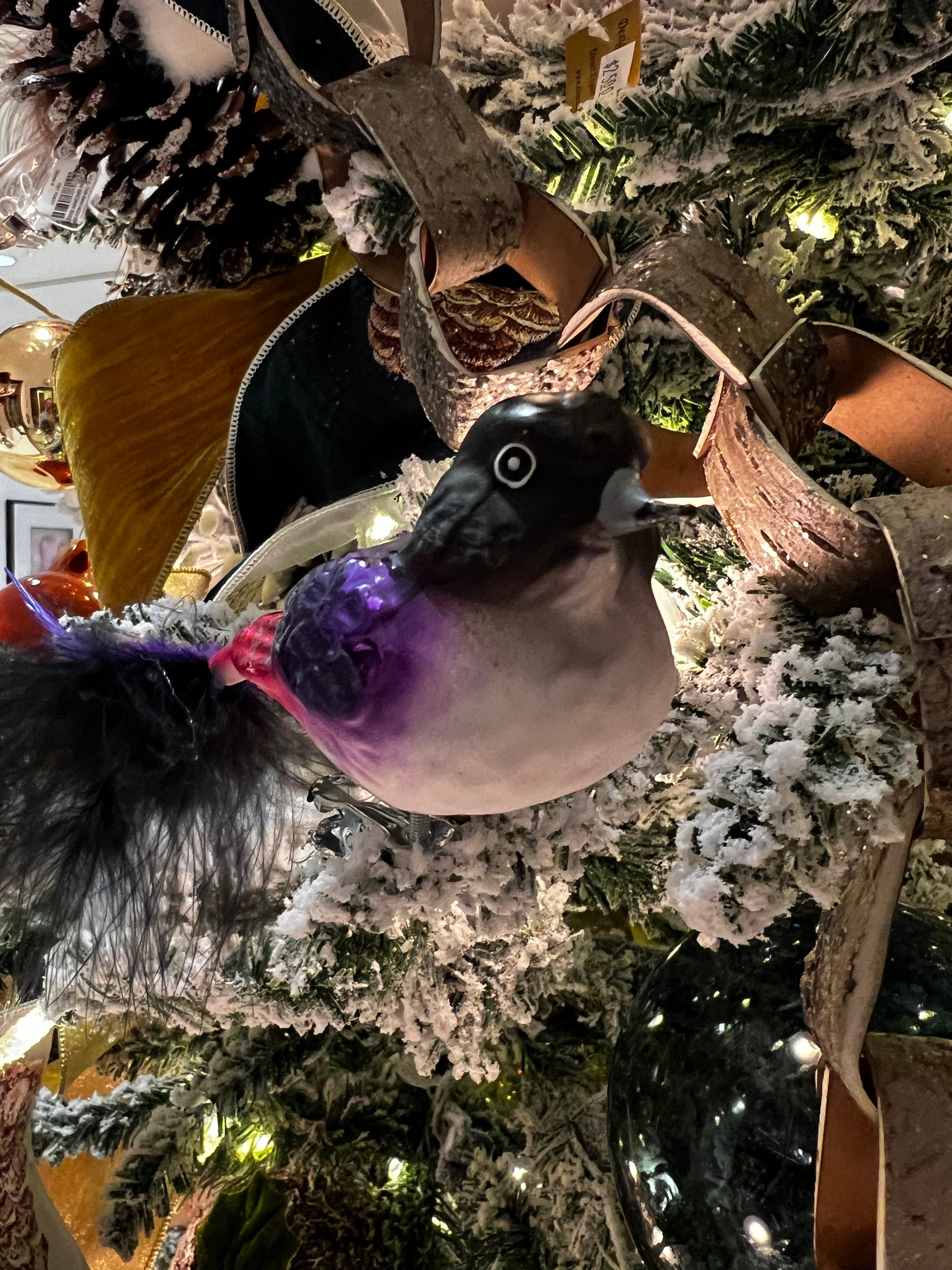 Starling Clip Bird feather Tail- Hand Blown Glass Christmas Ornament | Made in Germany