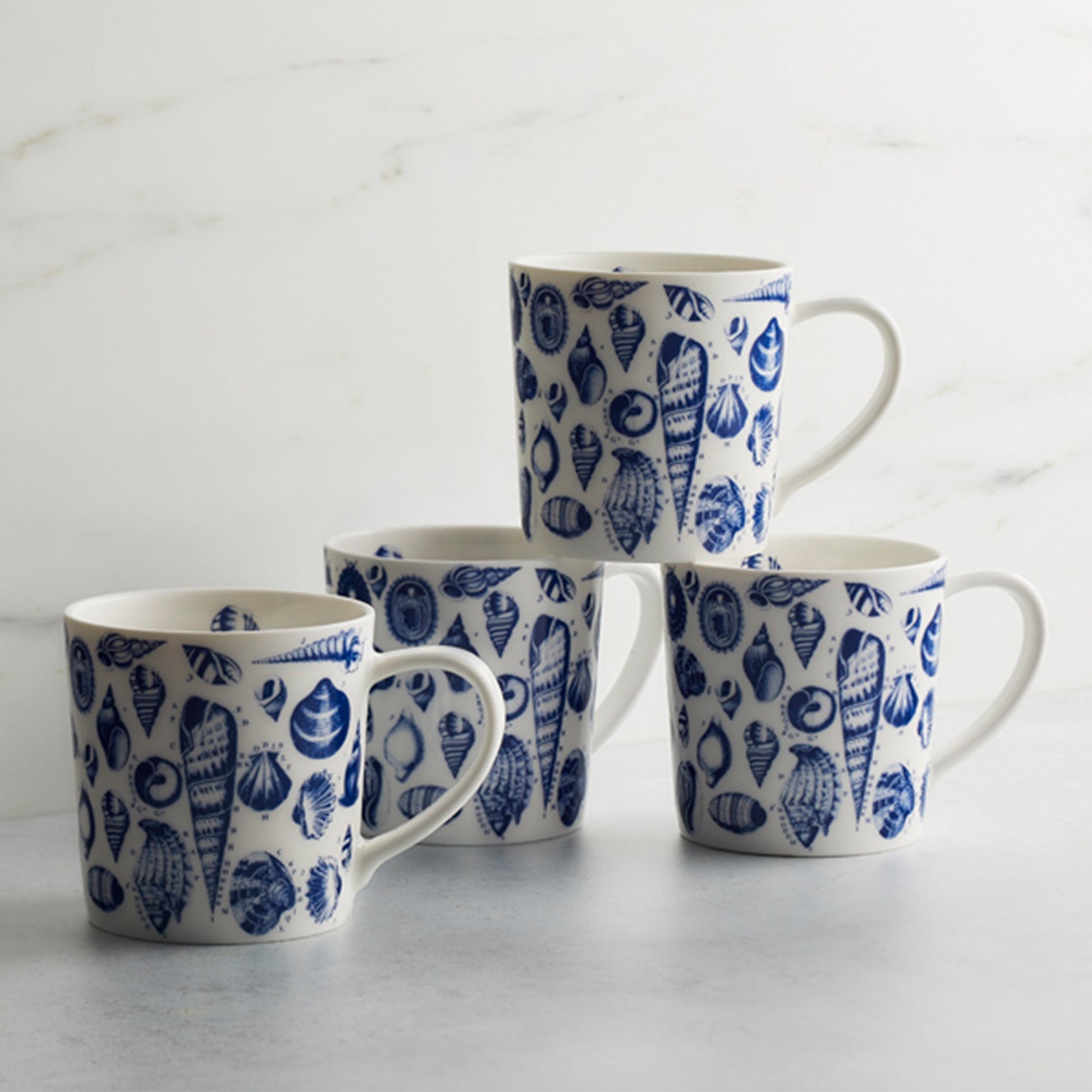 Shells Mug