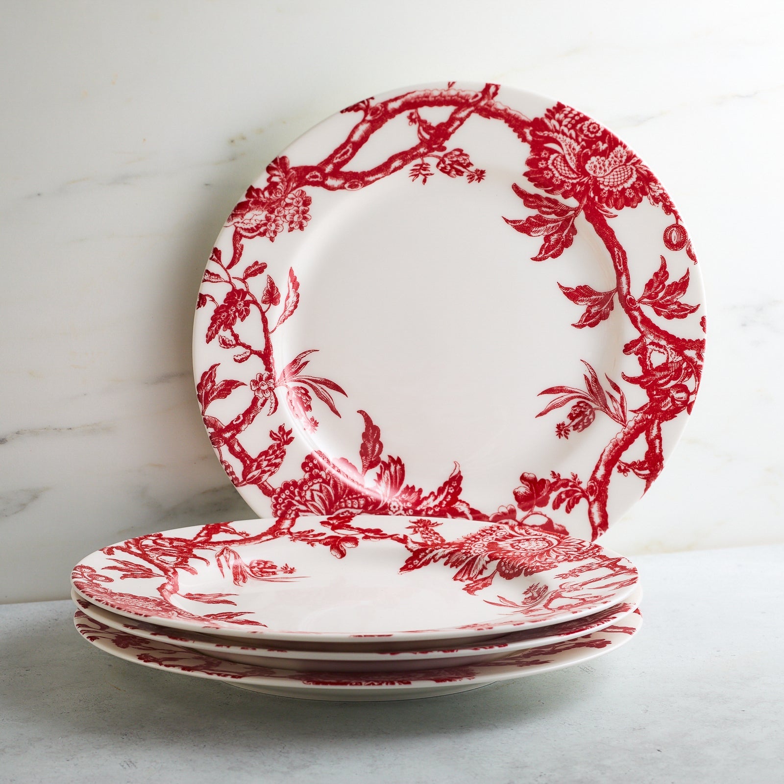 Arcadia Rimmed Dinner Plate