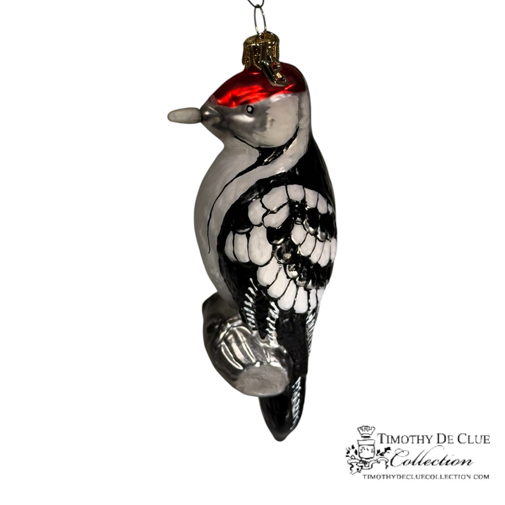 Acorn Woodpecker (Melanerpes formicivorus)-TDC Woodland Christmas Collection