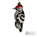 Acorn Woodpecker (Melanerpes formicivorus)-TDC Woodland Christmas Collection