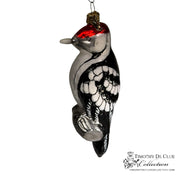 Acorn Woodpecker (Melanerpes formicivorus)-TDC Woodland Christmas Collection