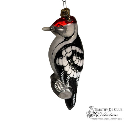 Acorn Woodpecker (Melanerpes formicivorus)-TDC Woodland Christmas Collection