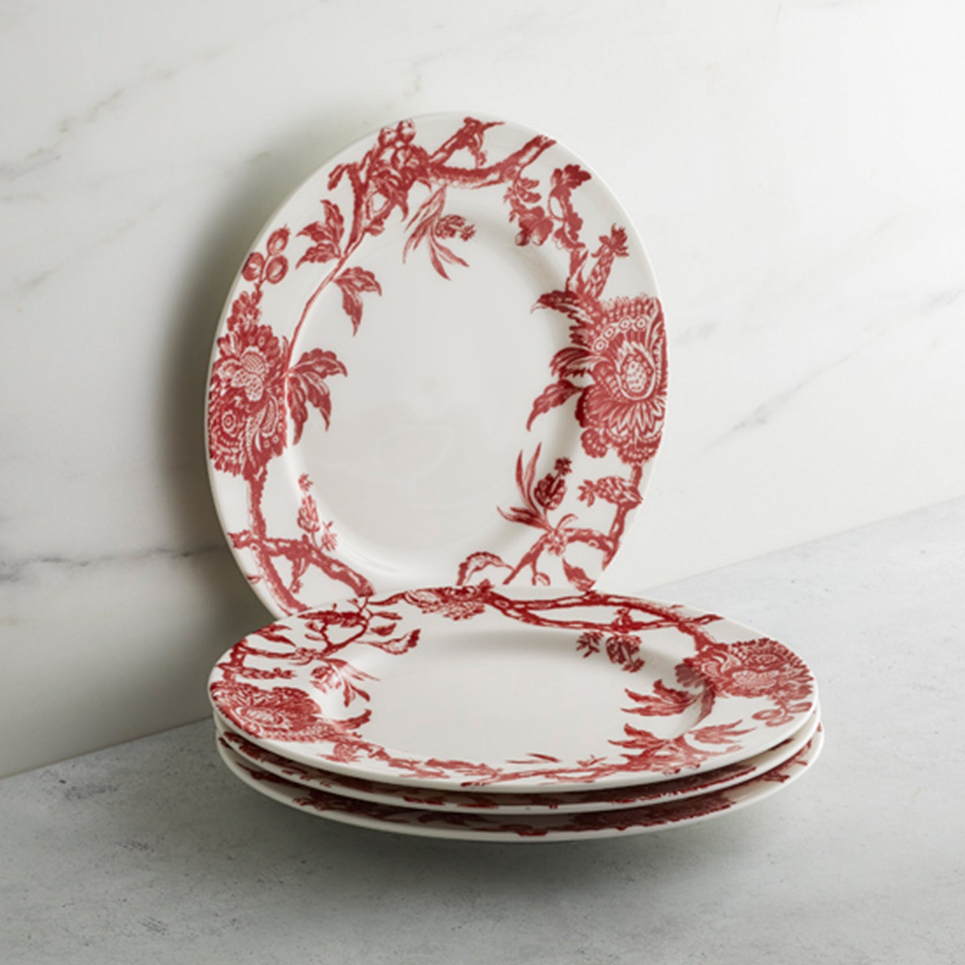 Arcadia Rimmed Dinner Plate