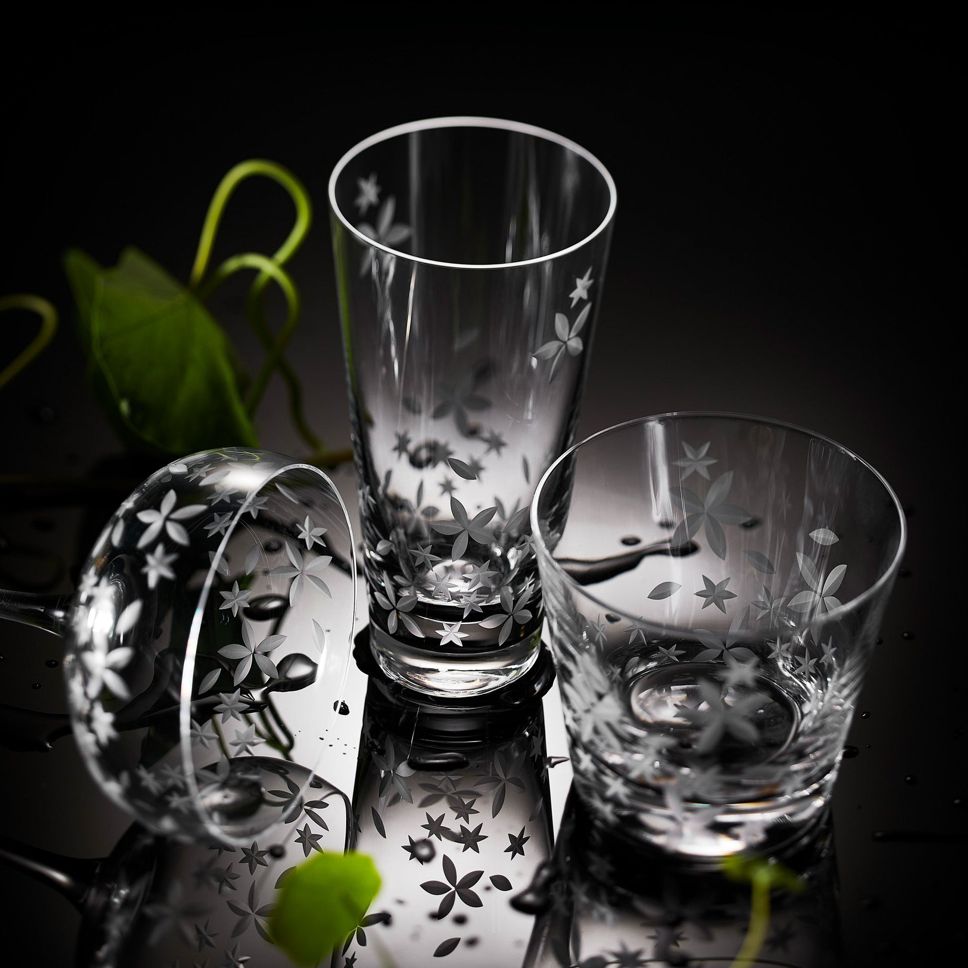 Chatham Highball Glasses, Set of 2