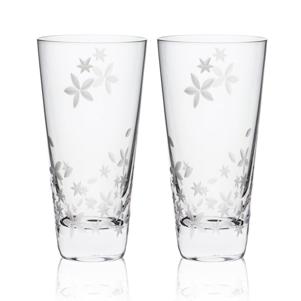 Chatham Highball Glasses, Set of 2