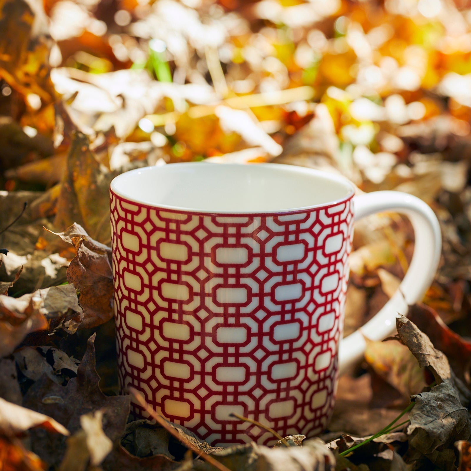 Newport Garden Gate Mug
