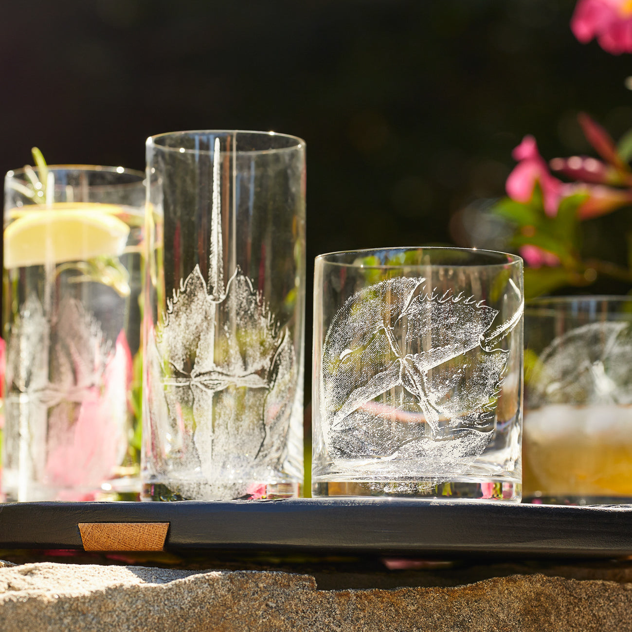 Horseshoe Crab Rocks Glasses, Set of 2