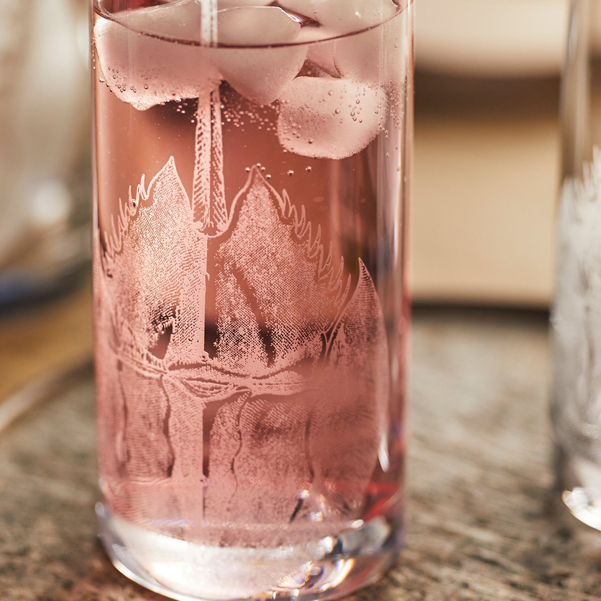 Horseshoe Crab Highball Glasses, Set of 2