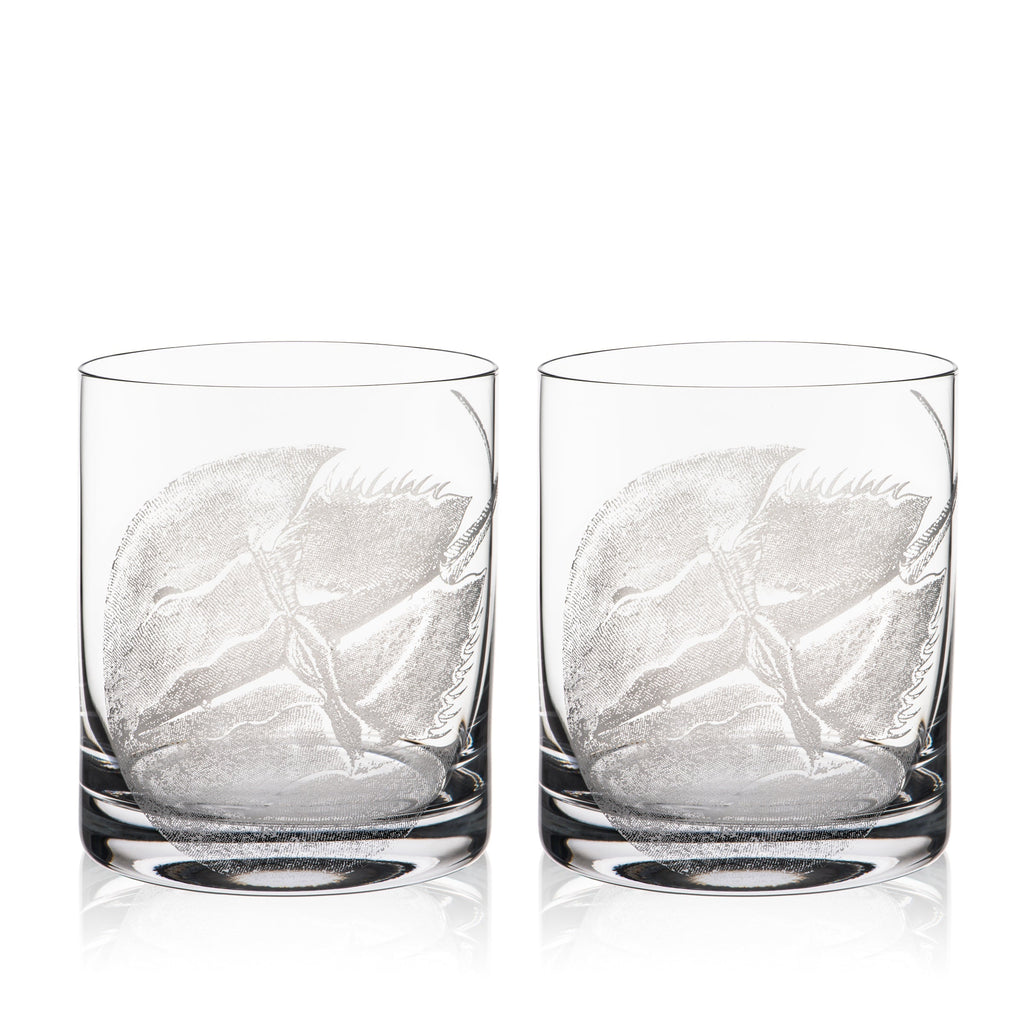 Horseshoe Crab Rocks Glasses, Set of 2
