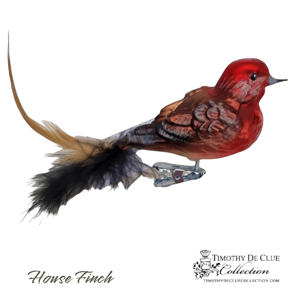 House Finch Clip Bird feather Tail- Hand Blown Glass Christmas Ornament | Made in Germany