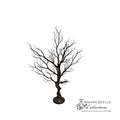 Petite Bare Branch Halloween Tree