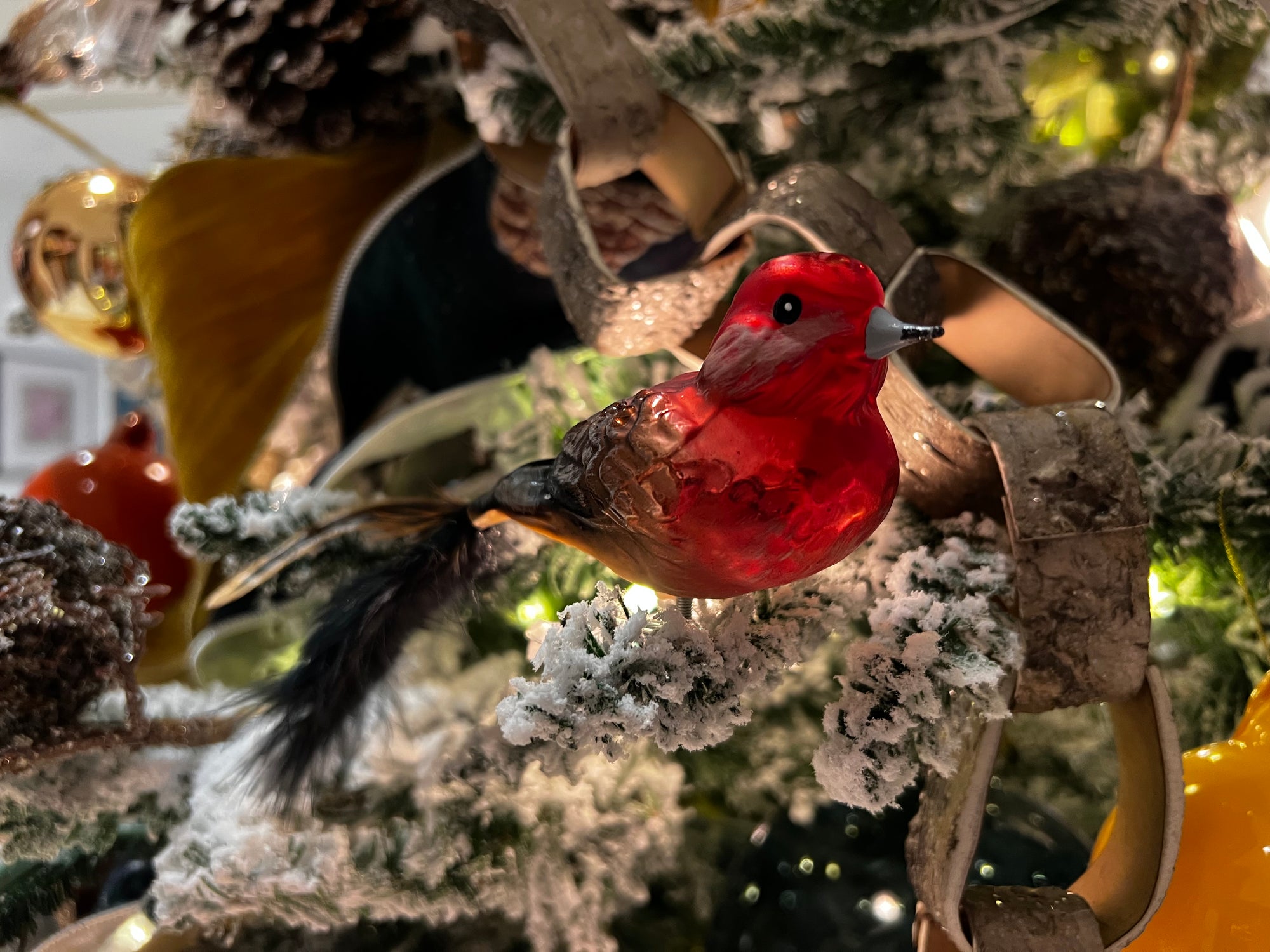 House Finch Clip Bird feather Tail- Hand Blown Glass Christmas Ornament | Made in Germany