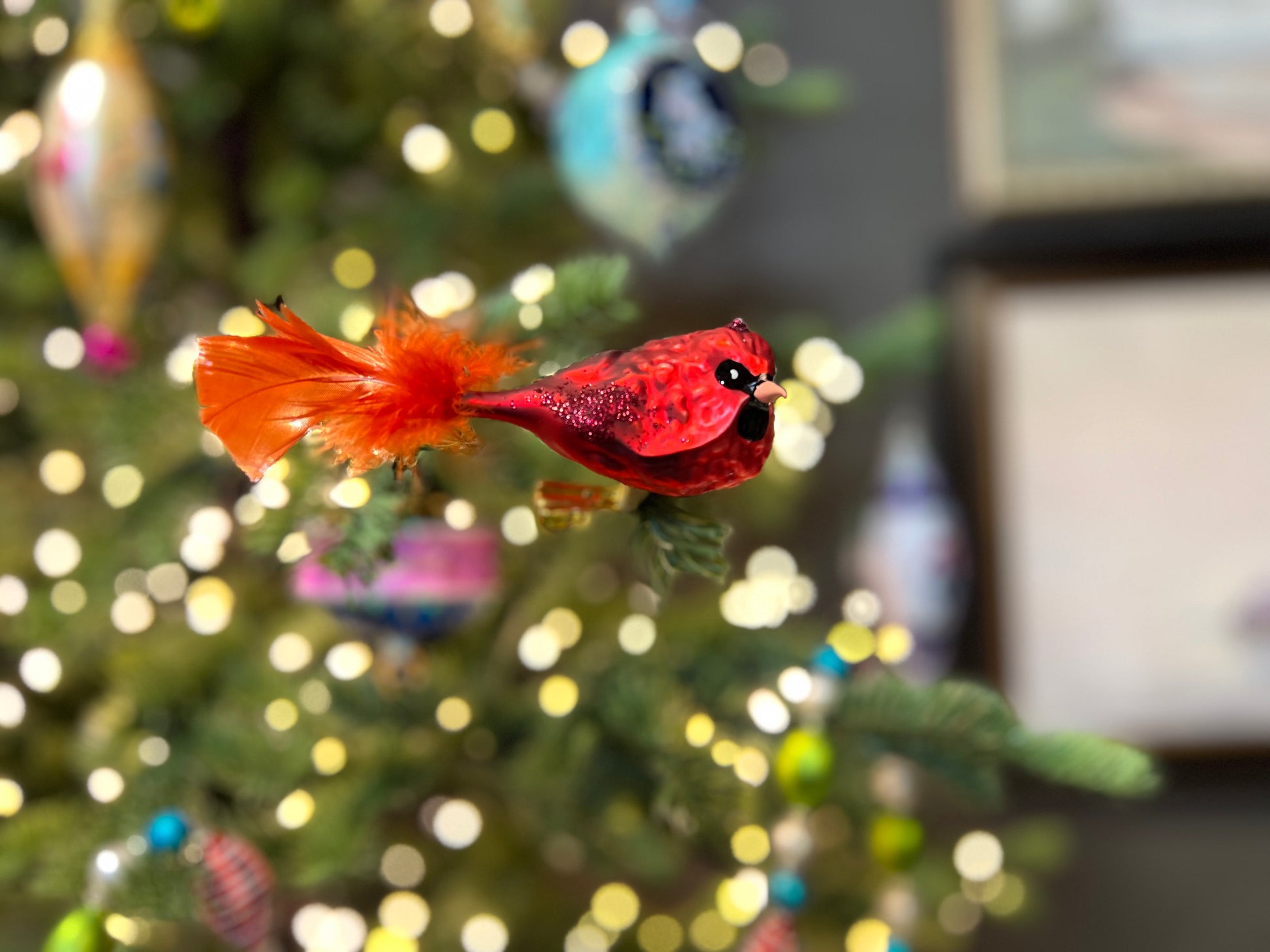 Sample C2 B Bird Clip / Christmas Ornament