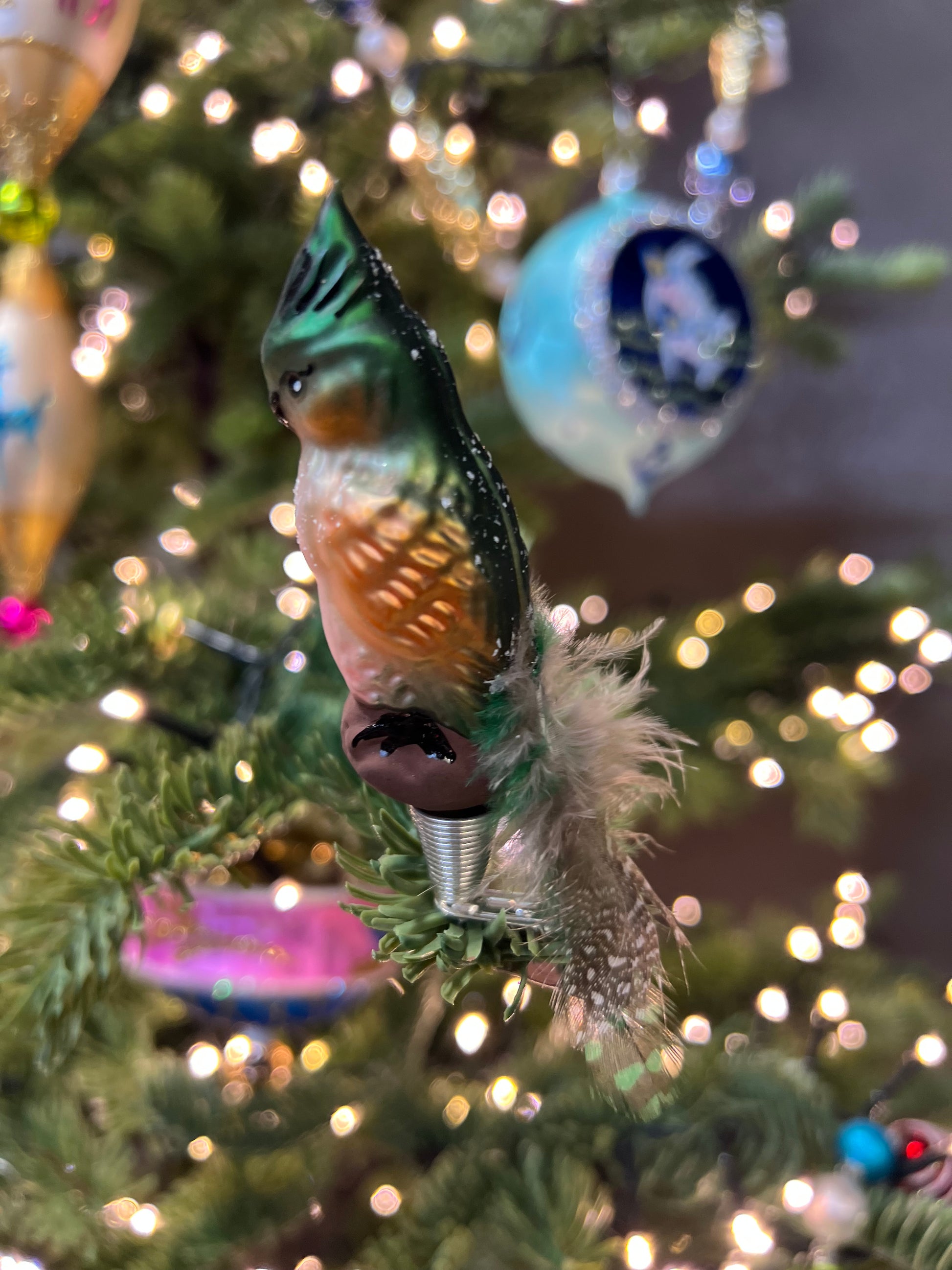 Sample C2 G Bird Clip / Christmas Ornament