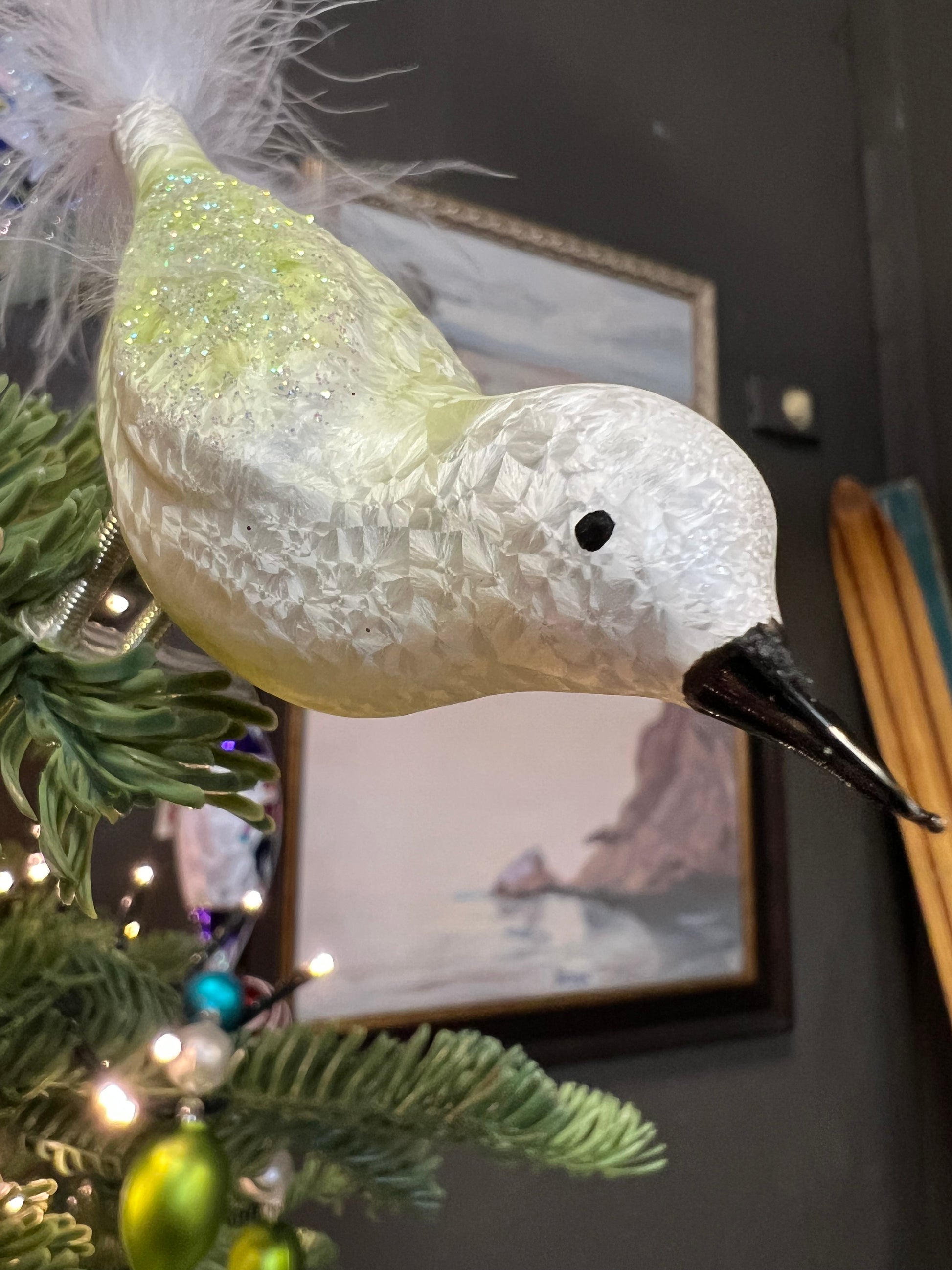 Sample B4 E Bird Clip / Christmas Ornament