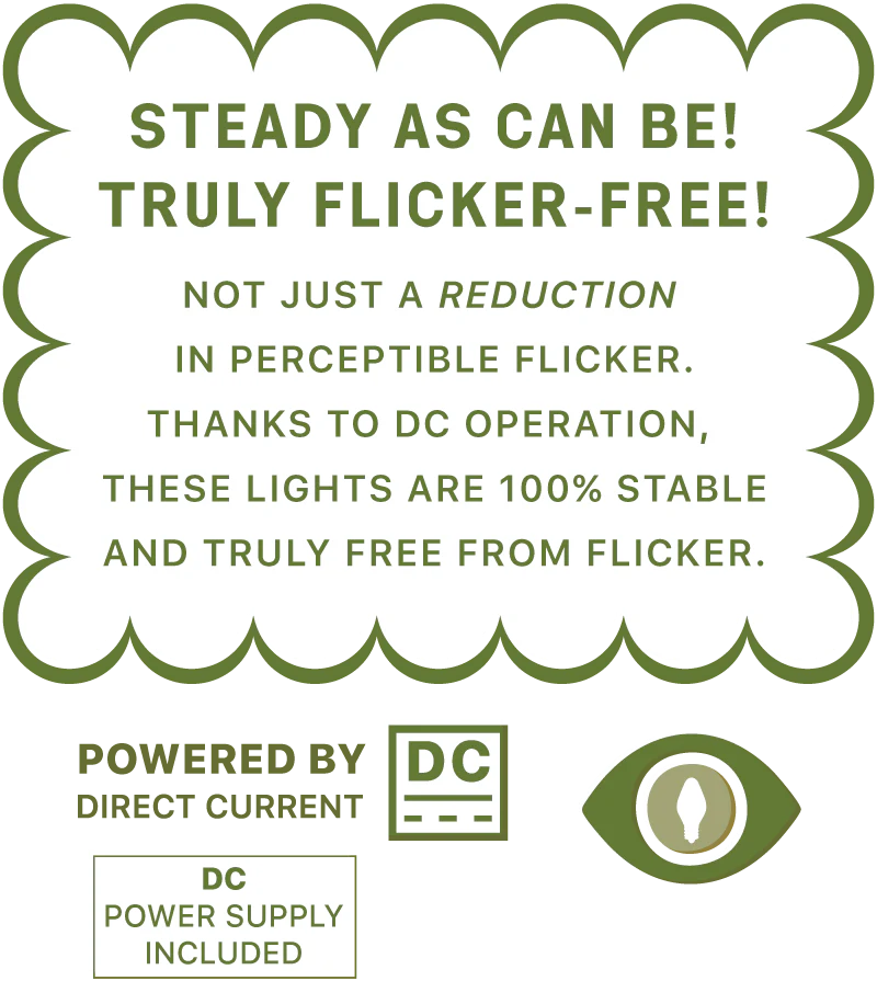 Tru-Tone LED Mini Lites -100 Light Set