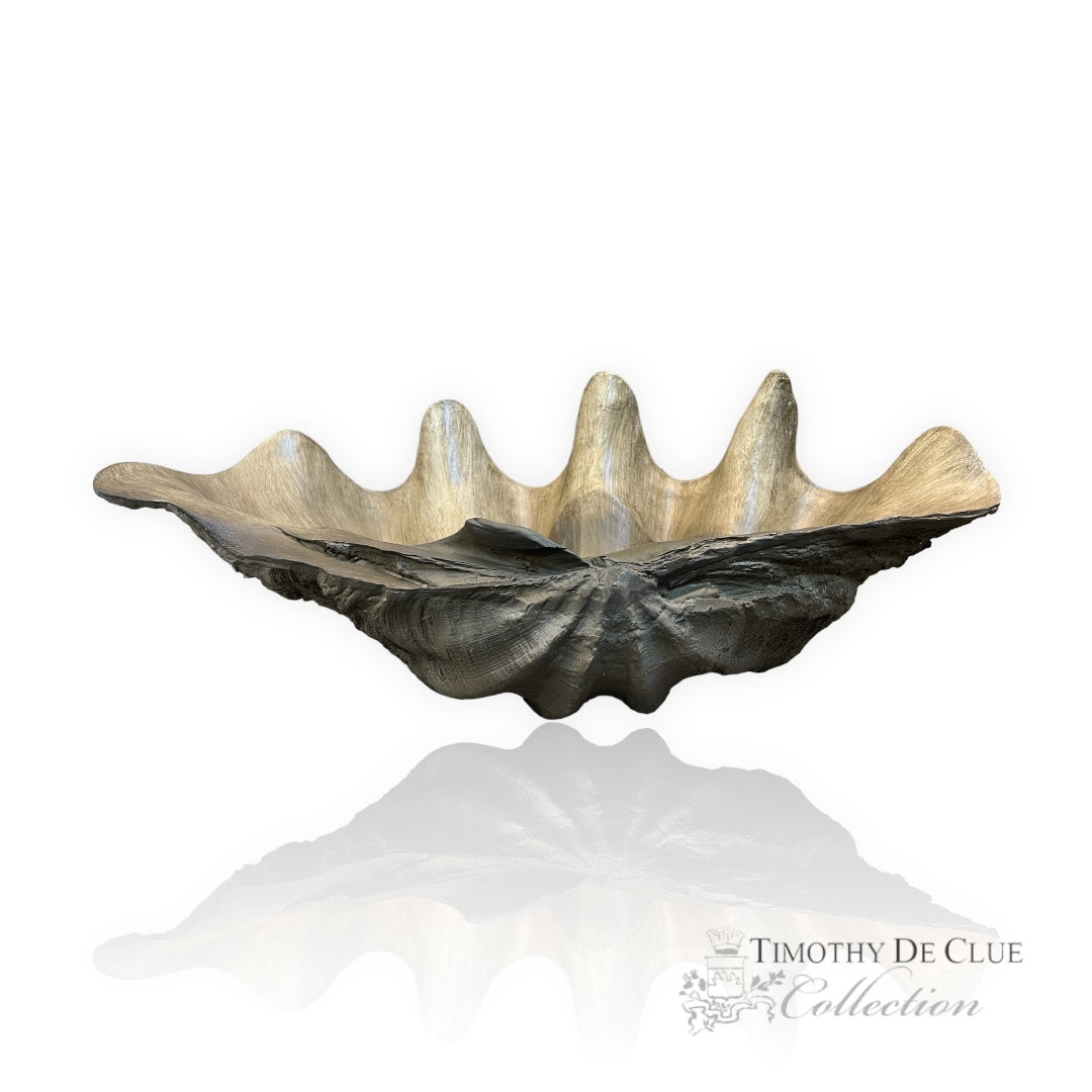 Massive- Faux Giant 20'' Wide Clam Shell Timothy De Clue Collection