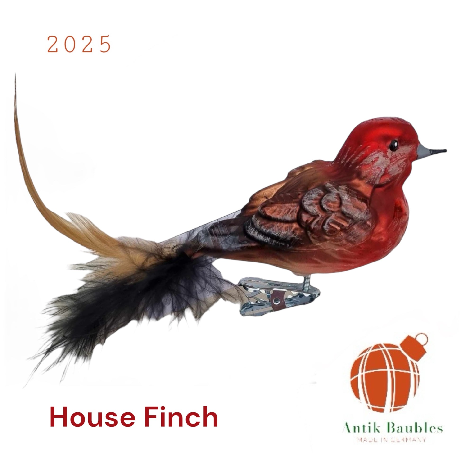 House Finch Clip Bird feather Tail- Hand Blown Glass Christmas Ornament | Made in Germany