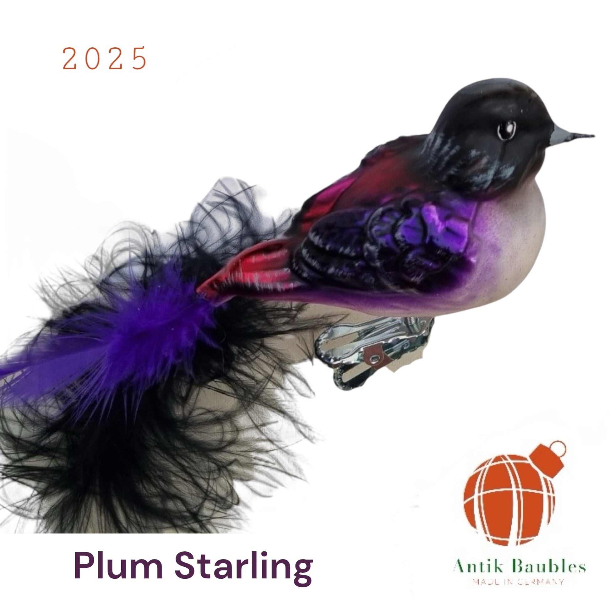 Starling Clip Bird feather Tail- Hand Blown Glass Christmas Ornament | Made in Germany