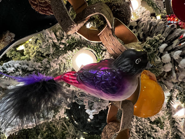 Birds of the PNW