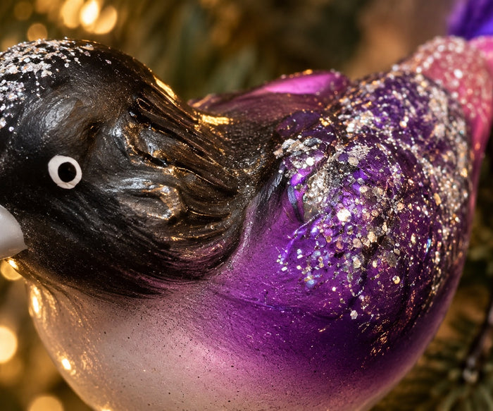Starling Clip Bird feather Tail- Hand Blown Glass Christmas Ornament | Made in Germany