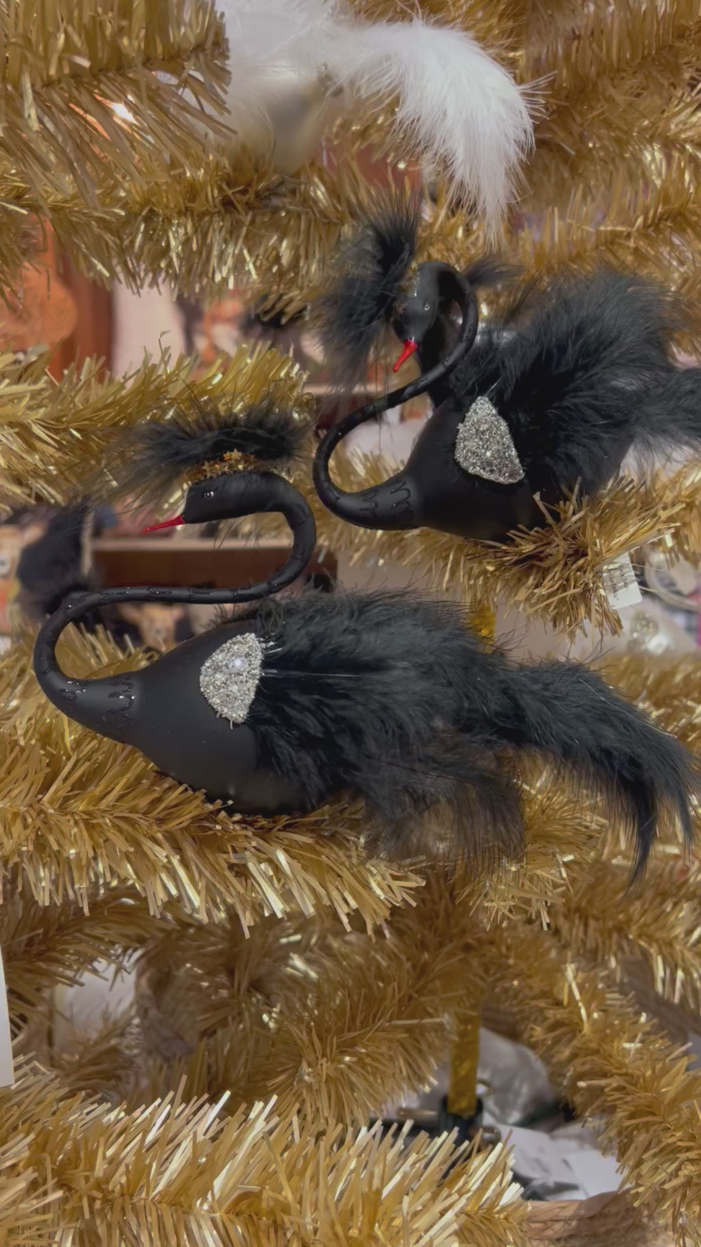 Free Blown Black Swan a Swimming clip on- Exclusive Christmas Ornament