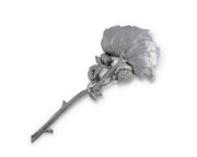 Blackberry Serving Spoon, silver-toned metal with textured leaf and berry details.