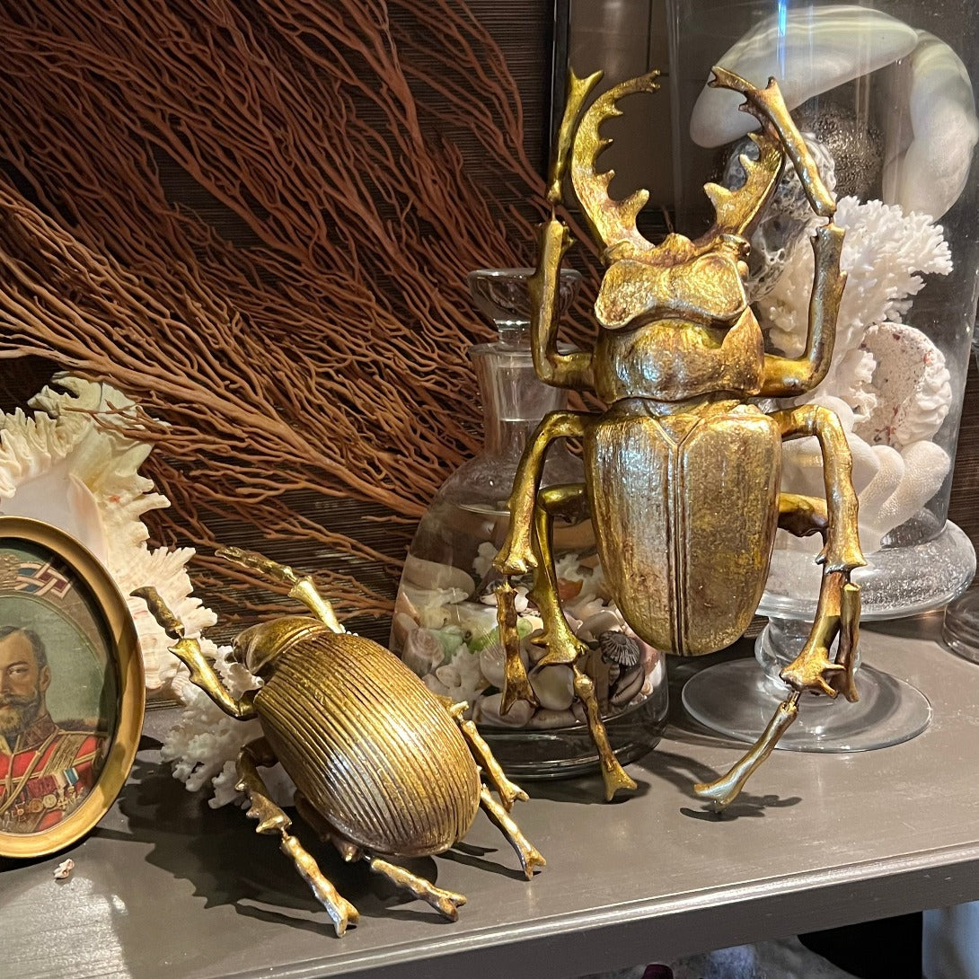 Transform Your Space with Beetle Wall Decor: A Complete Guide